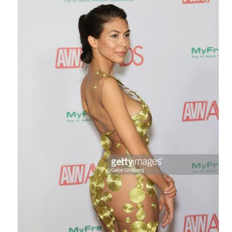 AVN2018 Custom Gown by Radka Salcmannova